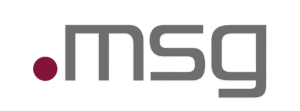 msg Logo